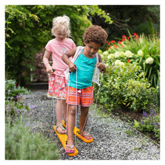 Schiuri de vara joc de echilibru