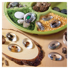 Specimen Stones, pietre din acril cu insecte, Guidecraft