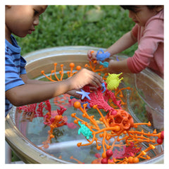 Coral Connections, set 40 piese, Guidecraft