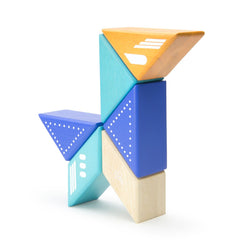 Tegu Jet Plane, blocuri magnetice pentru calatorii