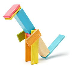 Tegu Tints, set 14 piese din lemn magnetic